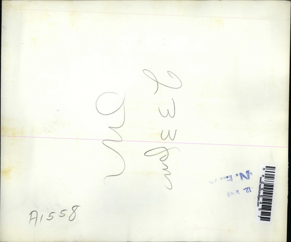 1949 Press Photo Niagara Falls NY winter snow makes pretty scenery