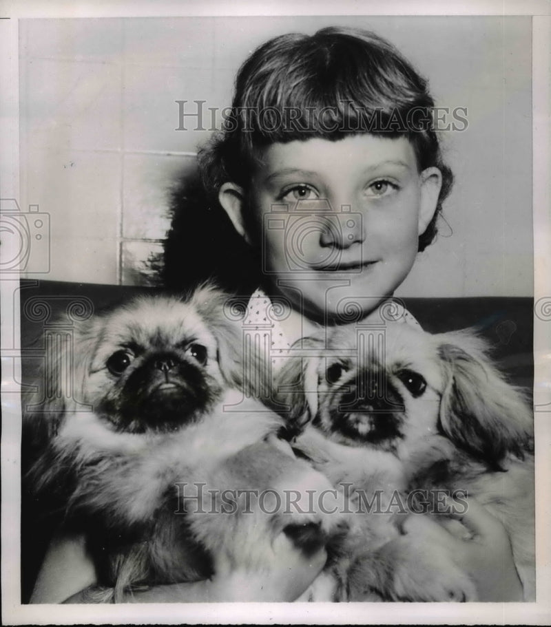 Load image into Gallery viewer, 1953 Press Photo Elizabeth Ann Mckaskle With a Pair of Aristocratic Pekingese

