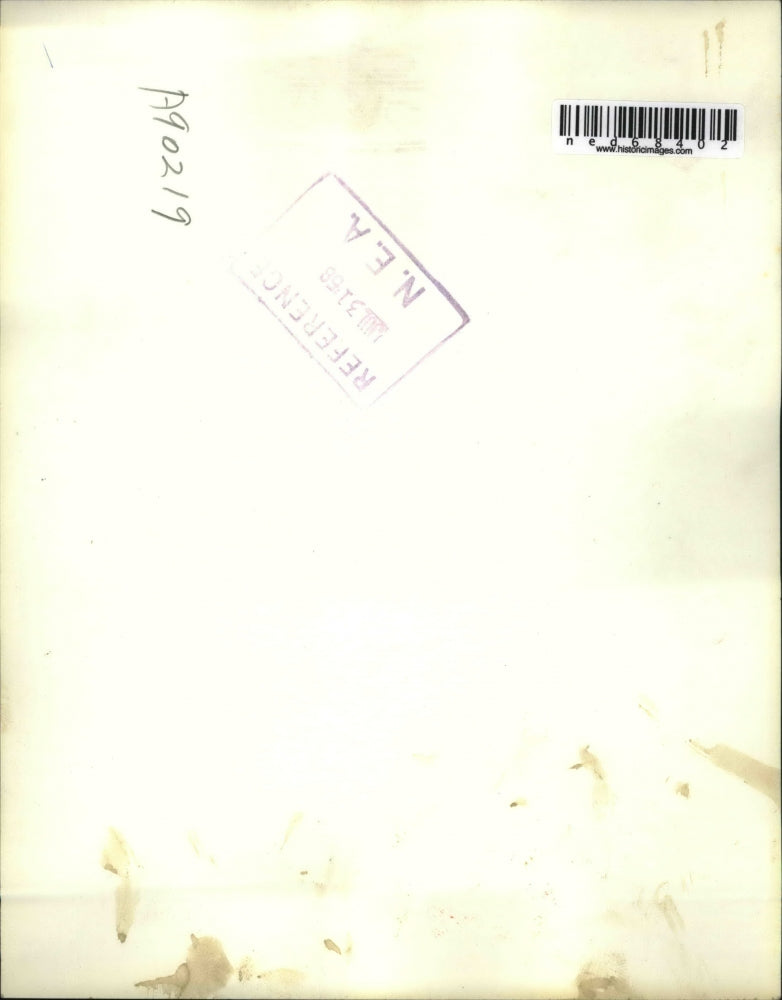 1958 Press Photo Chicago Ned Vaglica 19, was attacked and slashed and burned