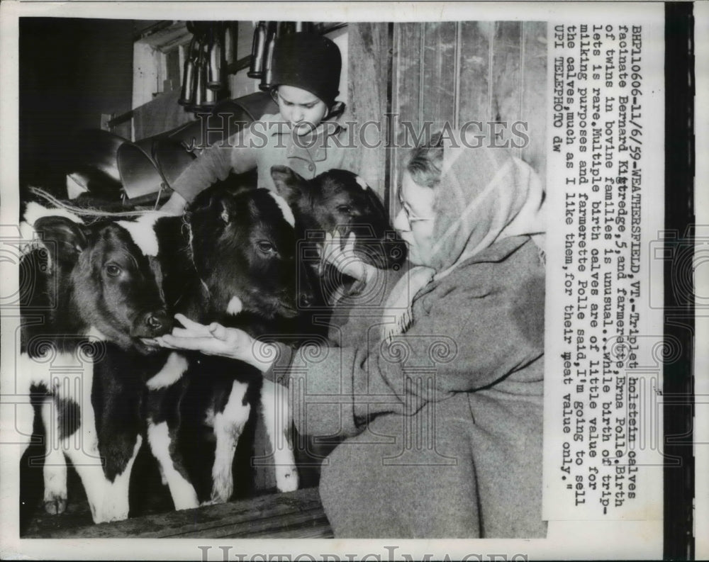 1960 Press Photo Triplet calves fascinated Bernard Kittredge and Erna Polle