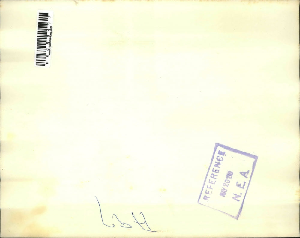 1960 Press Photo Triplet calves fascinated Bernard Kittredge and Erna Polle