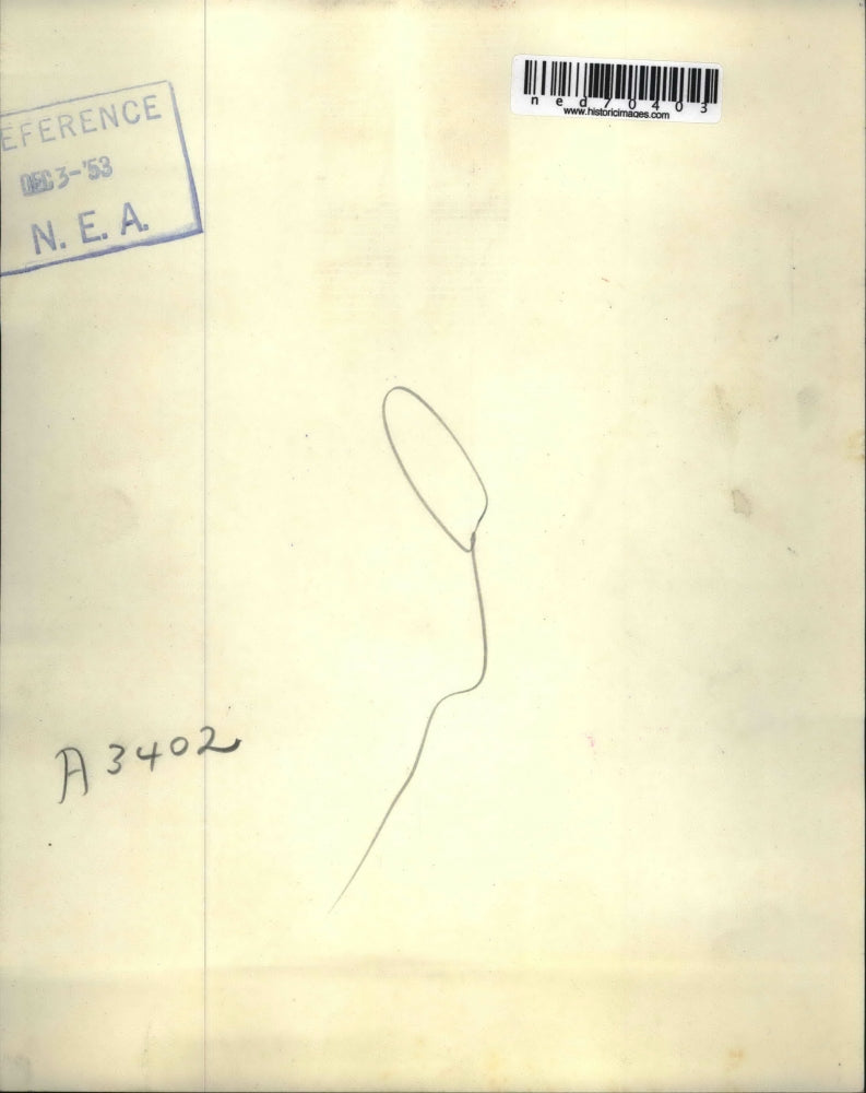 1953 Press Photo Thousands of Michigan State students in an all night parade