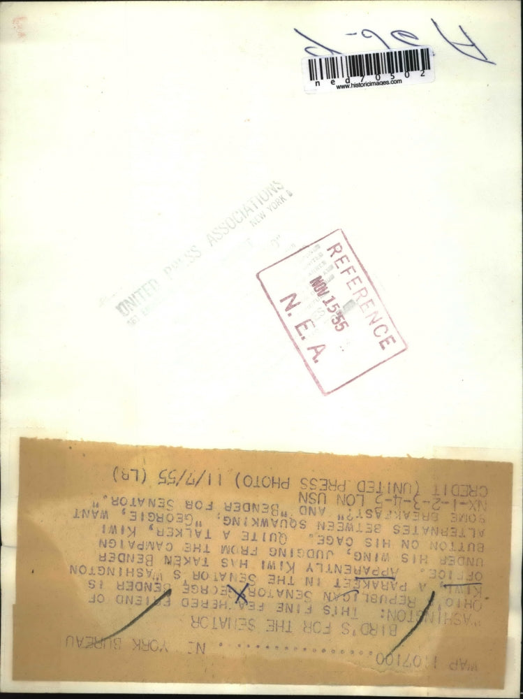 1955 Press Photo Kiwi, a parakeet in Senator G. Bender's office in Washington