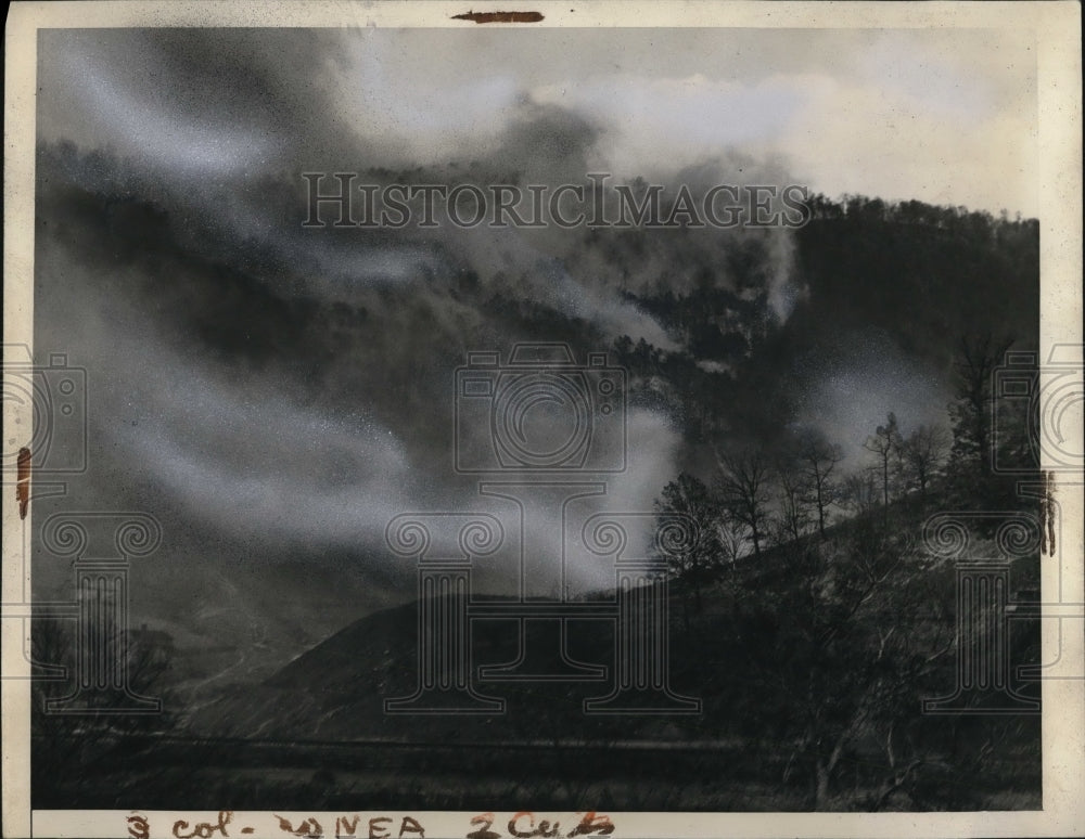 1938 Press Photo Forest Fire near Pureville