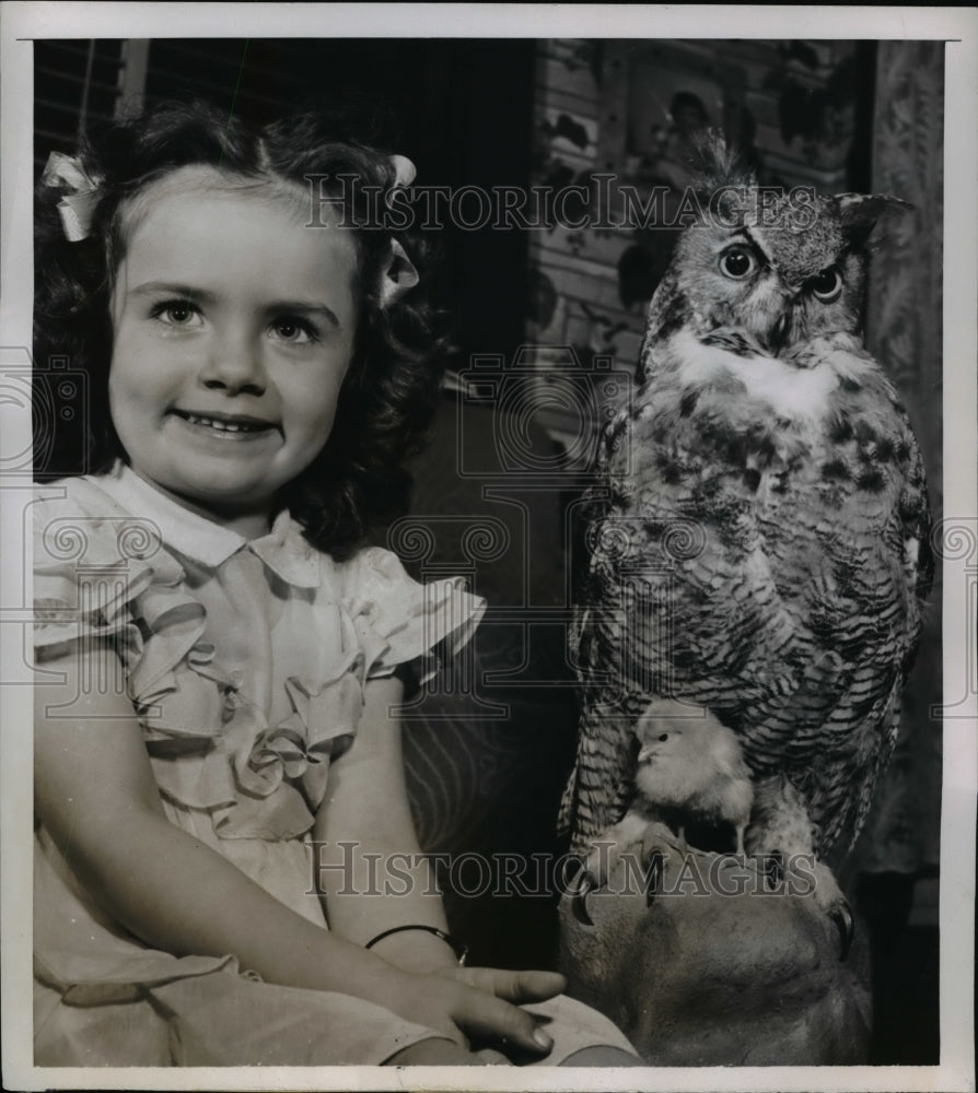 1953 Press Photo Bonny Pierson pets, a large stuffed owl & motherless chick