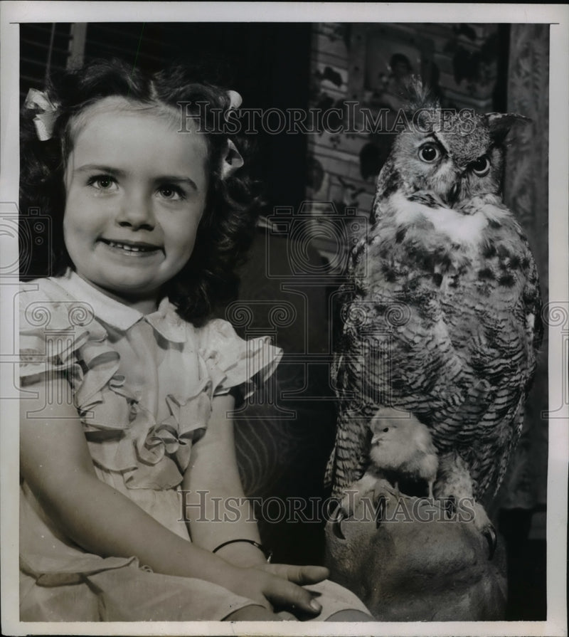 Load image into Gallery viewer, 1953 Press Photo Bonny Pierson pets, a large stuffed owl &amp; motherless chick
