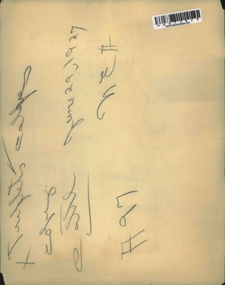 1927 Press Photo The triplet cows with their mom and dad