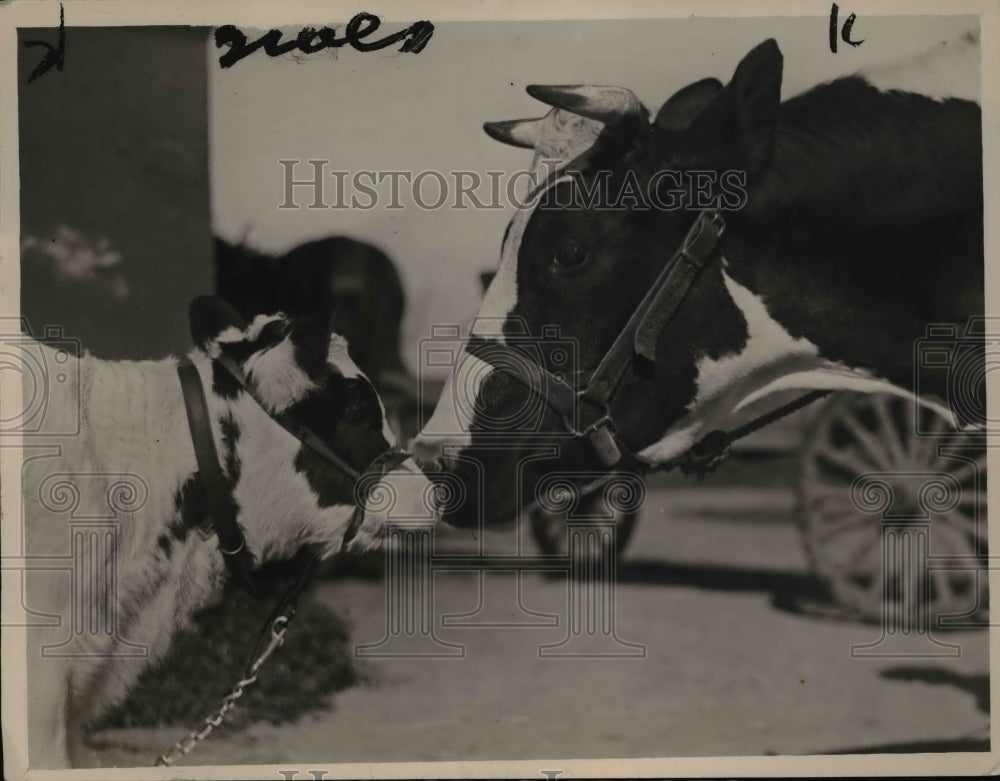 1922 Press Photo Molly kissing mama
