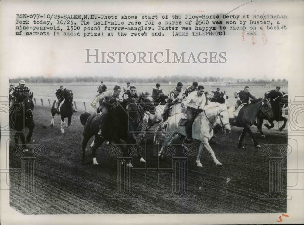 1949 Press Photo Plow-Horse Derby Race, Rockingham Park, New Hampshire