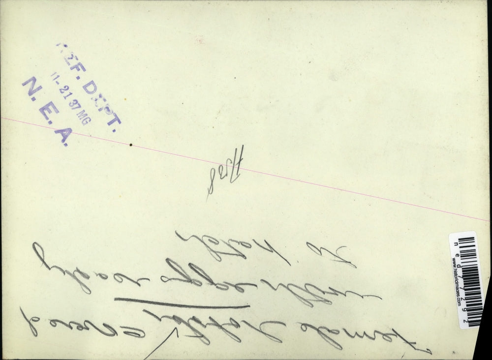 1937 Press Photo Female lobster covered in eggs ready to hatch