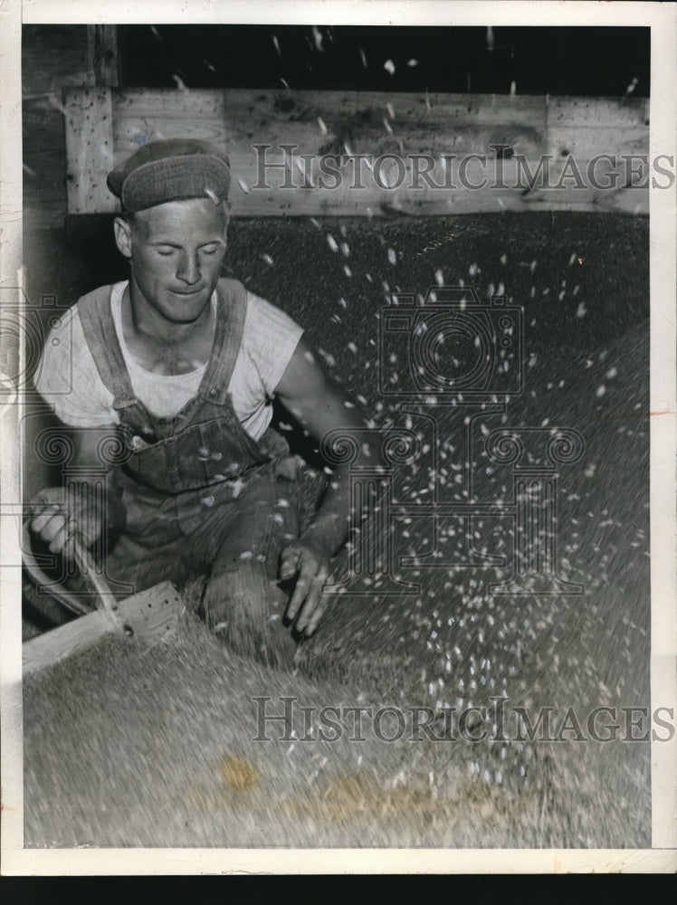 1947 Press Photo Kansas City Kansas This helper at Standard Milling Company