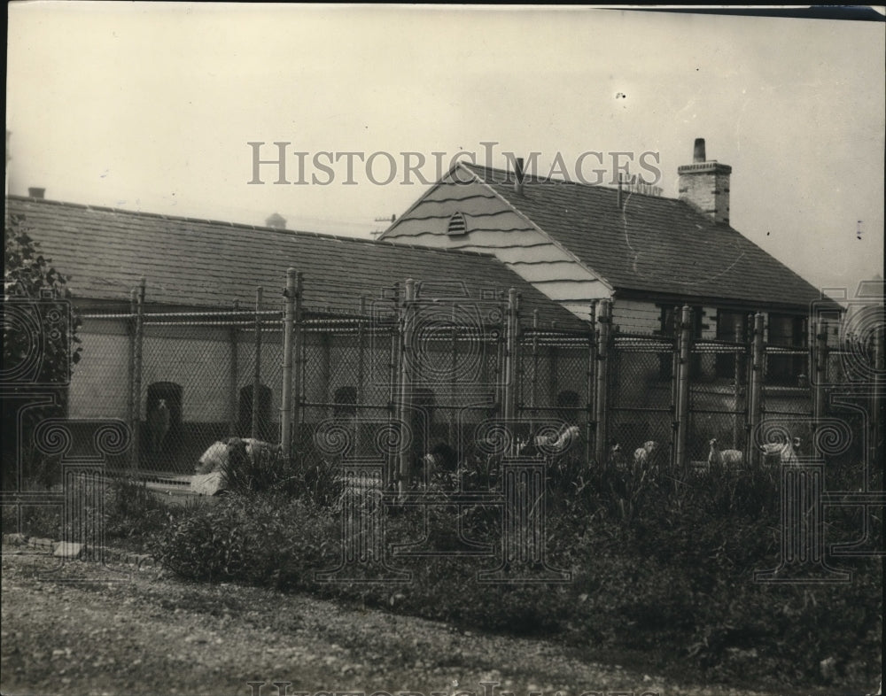 1927 Press Photo Rear view of animal shelter in Dayton, Ohio- Historic Images