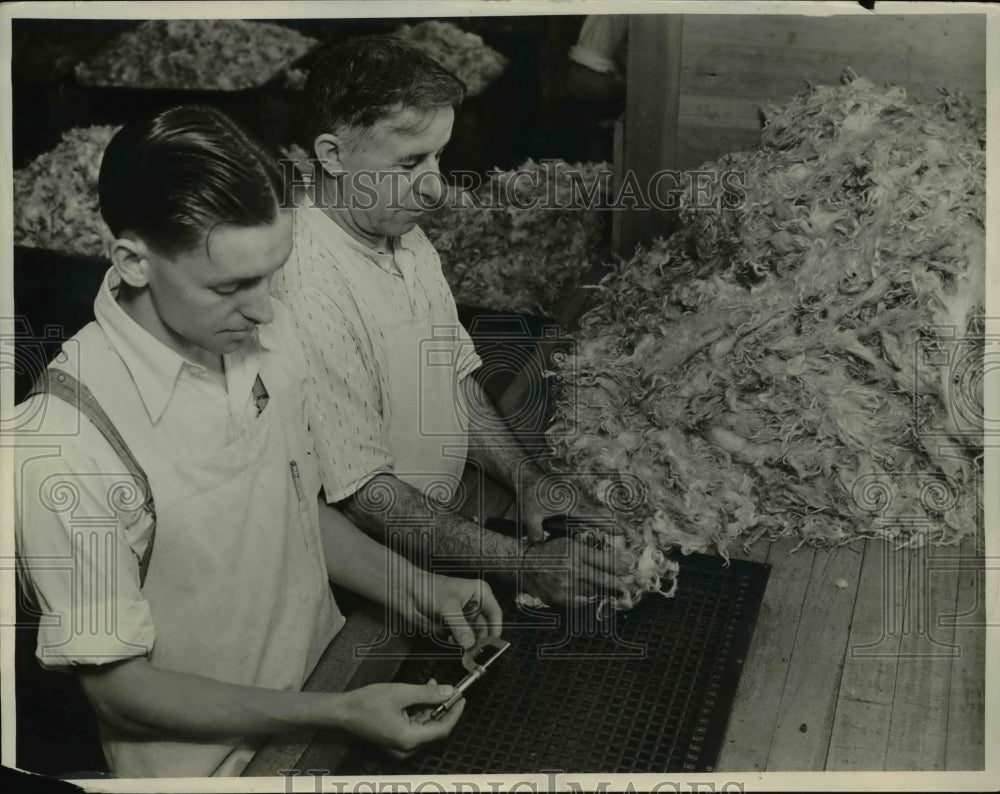 1931 Press Photo John Wirght head sorter for Sanford Mills is matching Angora