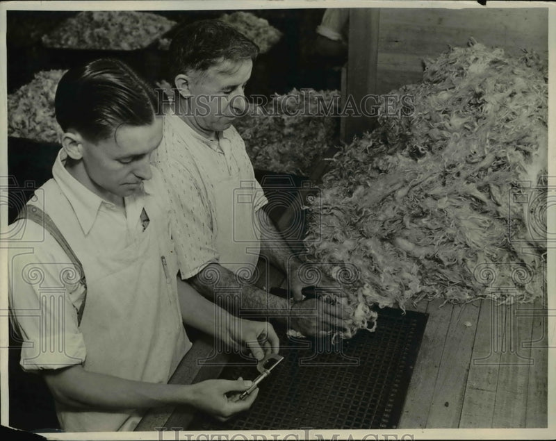 Load image into Gallery viewer, 1931 Press Photo John Wirght head sorter for Sanford Mills is matching Angora
