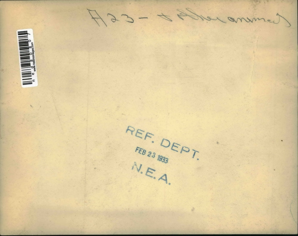 1933 Press Photo The dog babysits the kittens