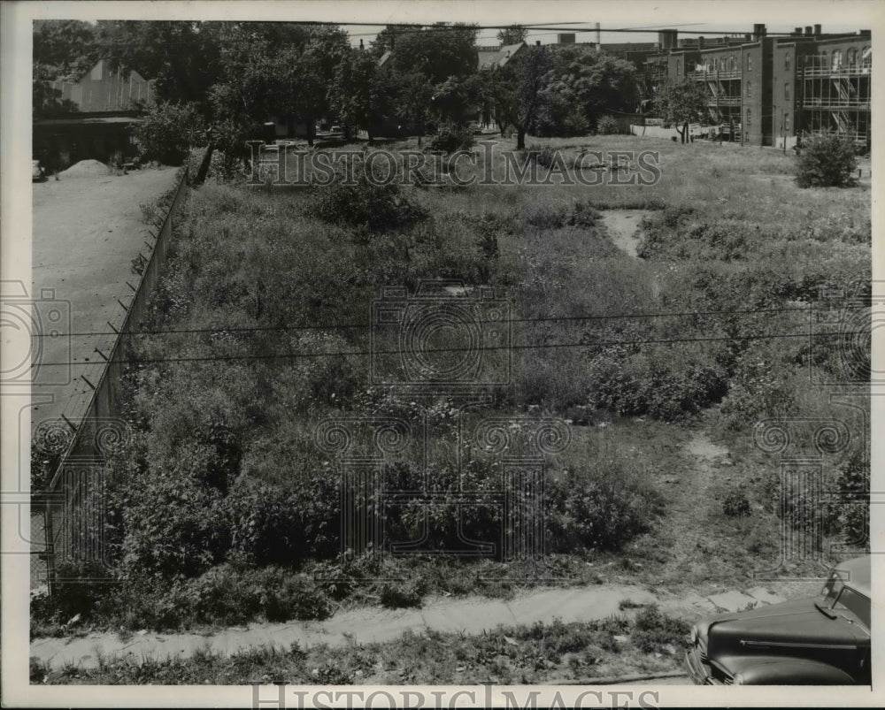 1953 Press Photo Field opposite E106 City day walking