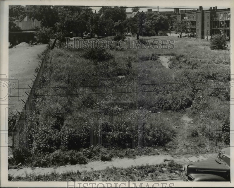 Load image into Gallery viewer, 1953 Press Photo Field opposite E106 City day walking
