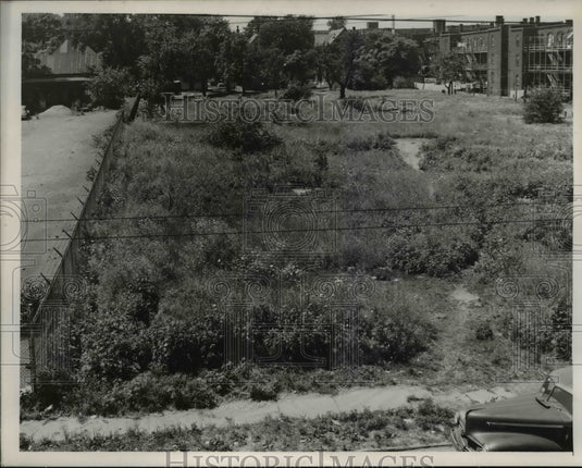 1953 Press Photo Field opposite E106 City day walking