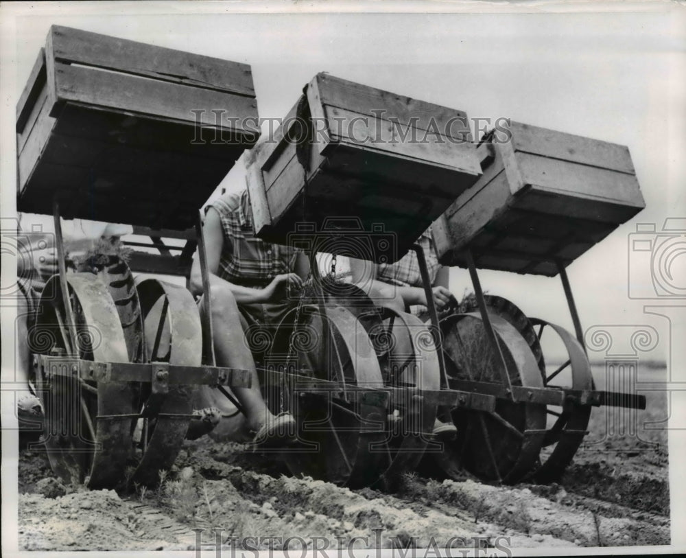 1956 Press Photo Transplant machines to put seedling in farm fields