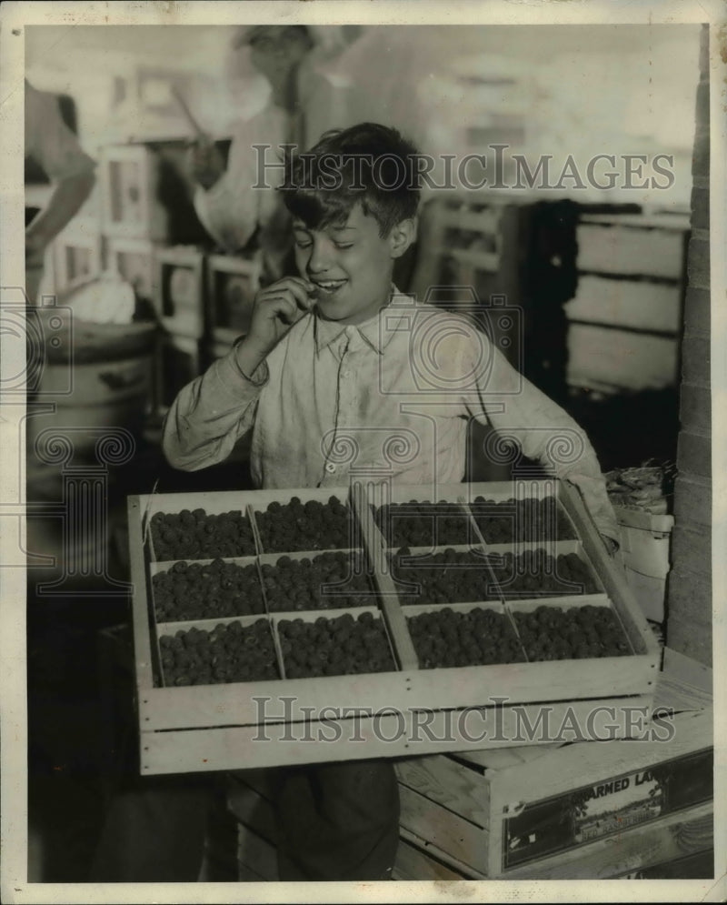 Load image into Gallery viewer, 1931 Press Photo Hoe Xarara &amp; red raspberries from Washington
