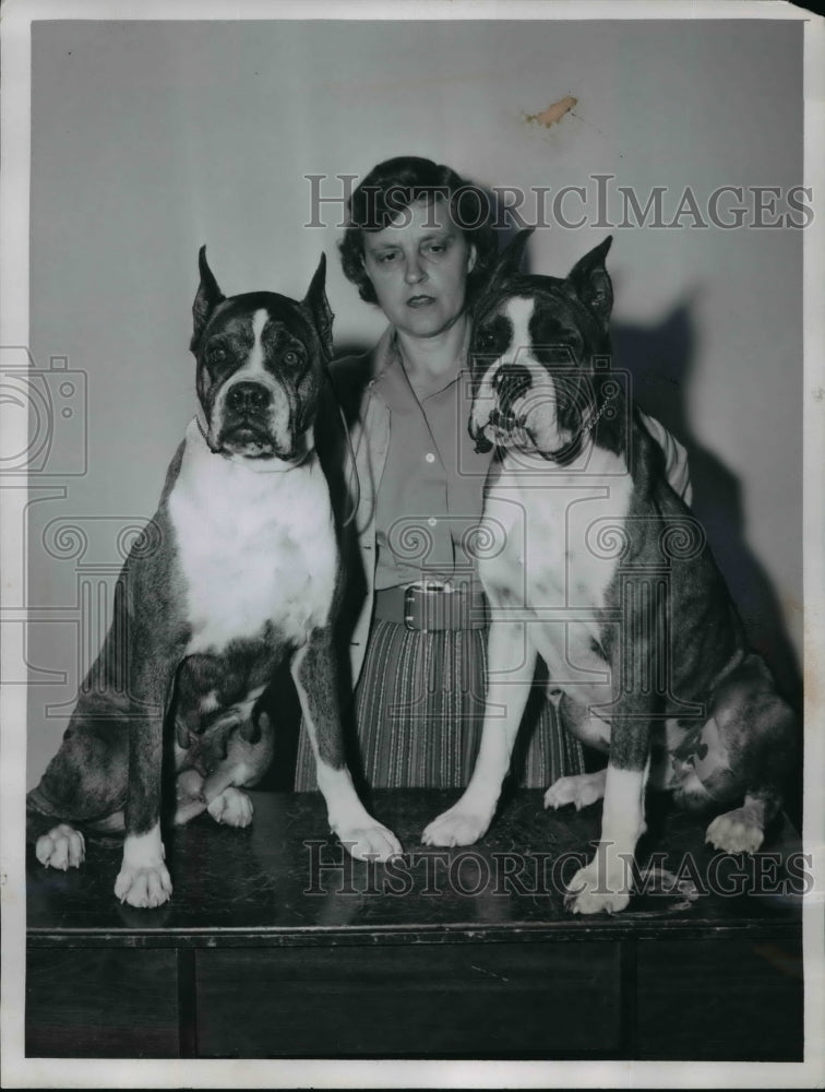 Load image into Gallery viewer, 1957 Press Photo Mrs. Margaret Craig And Her Boxers
