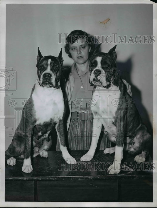 1957 Press Photo Mrs. Margaret Craig And Her Boxers