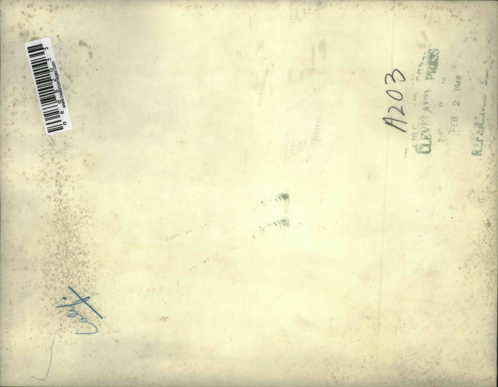 1948 Press Photo The orchard workers slowly removing ice from the damaged tree