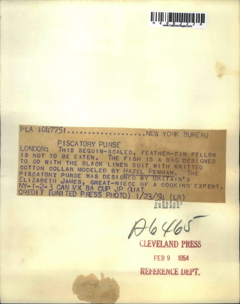 1954 Press Photo The sequin scaled feather fin fish bag - ned82224