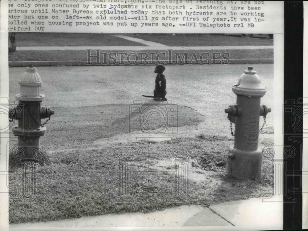 1959 Press Photo Two hydrants that are six feet apart seen causing spills