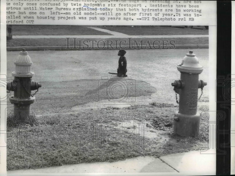 Load image into Gallery viewer, 1959 Press Photo Two hydrants that are six feet apart seen causing spills
