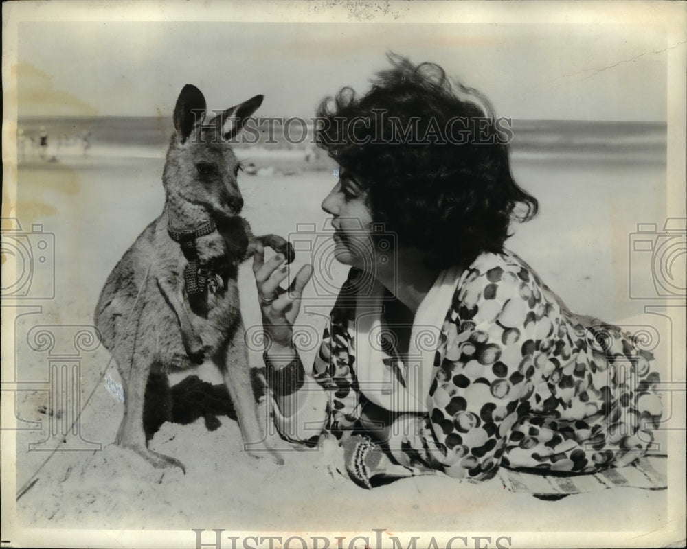 1965 Press Photo A pet joey (baby kangaroo) making friends with a pretty lady