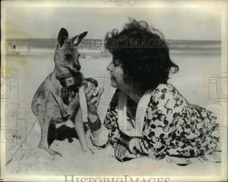 Load image into Gallery viewer, 1965 Press Photo A pet joey (baby kangaroo) making friends with a pretty lady
