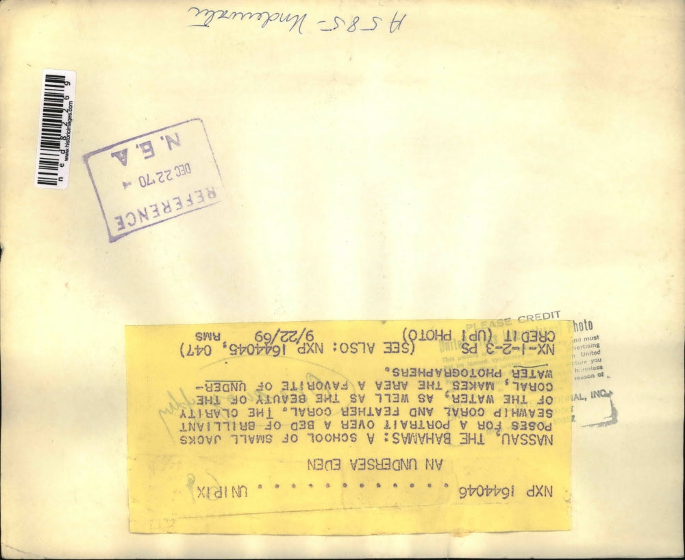 1969 Press Photo School of small jacks posed for a portrait over a bed of corals