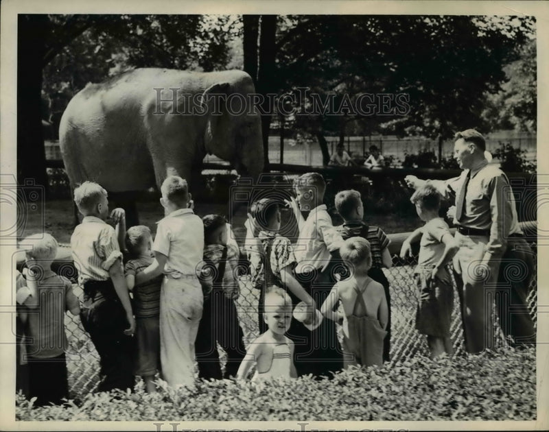 Load image into Gallery viewer, 1941 Press Photo M. L. Royer Tells About the Elephant
