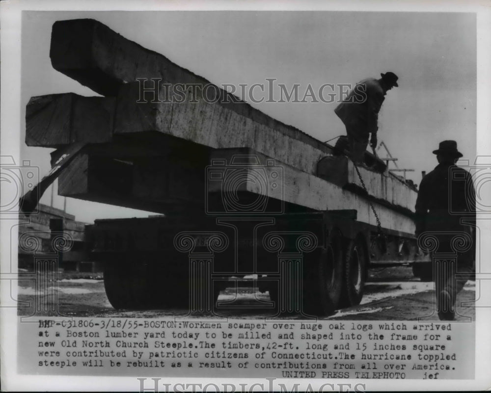 1955 Press Photo Huge Oak logs arrived at Boston Lumber Yard