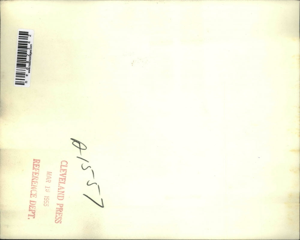 1955 Press Photo Huge Oak logs arrived at Boston Lumber Yard