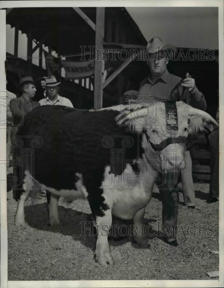 Load image into Gallery viewer, 1940 Press Photo James E. Stead show off a good advantage his 1275 pound Steer
