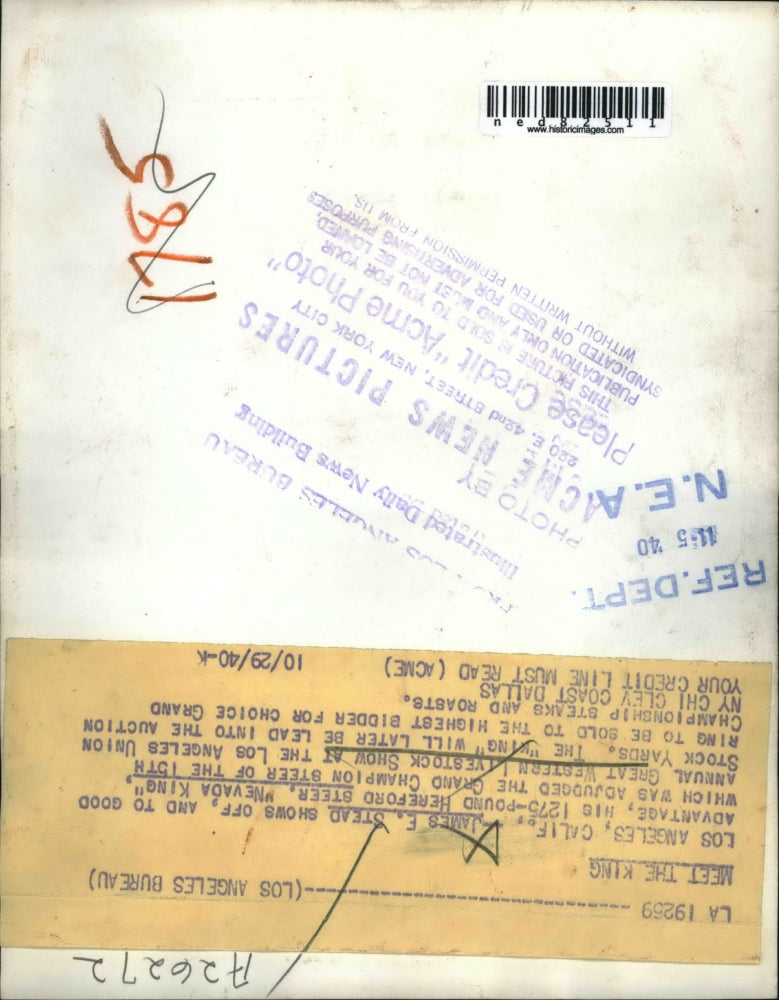 1940 Press Photo James E. Stead show off a good advantage his 1275 pound Steer