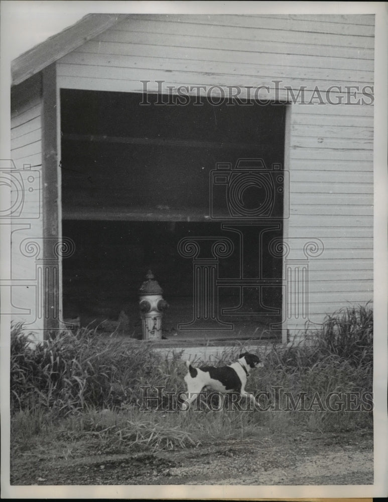 1960 Press Photo Monticello Wis the village fire hydrant has become indoor