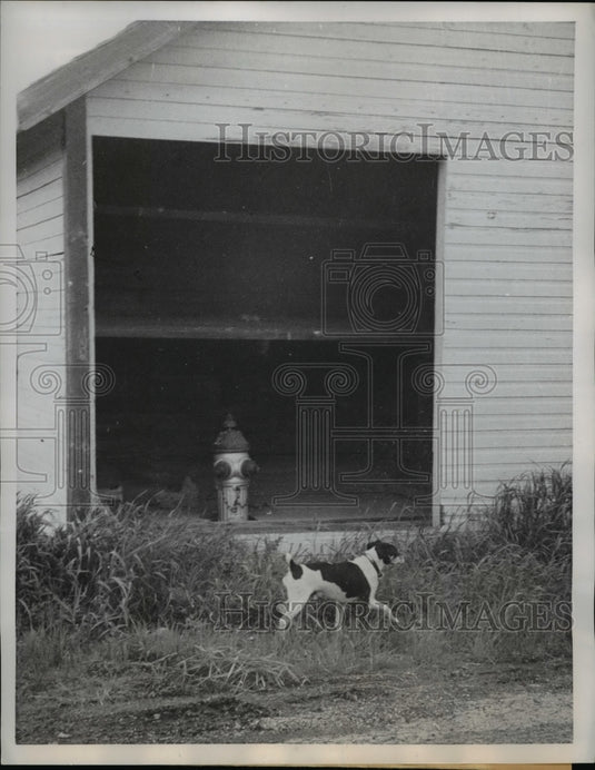 1960 Press Photo Monticello Wis the village fire hydrant has become indoor