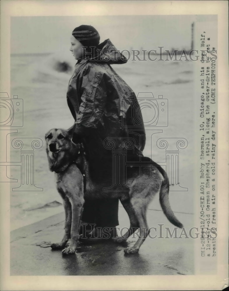1949 Press Photo Chicago Bobby Sherman and his dog wolf a 12 yr old German