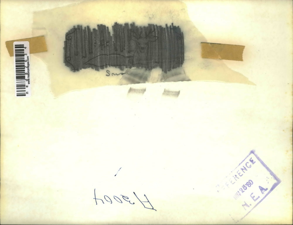 1960 Press Photo Huntsman, Ed Wray of Detroit with the doe