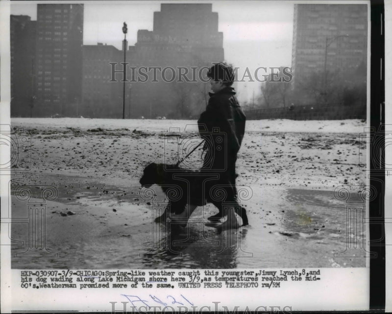 Load image into Gallery viewer, 1955 Press Photo Jimmy Lynch and Dog Wading Along Lake Michigan Shore in Chicago
