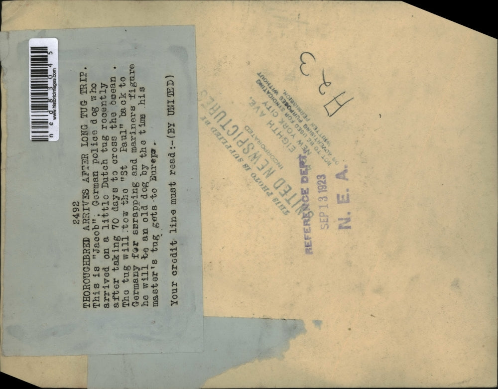 1923 Press Photo This is Jacob a German POlice dog who arrived on a little Dutch