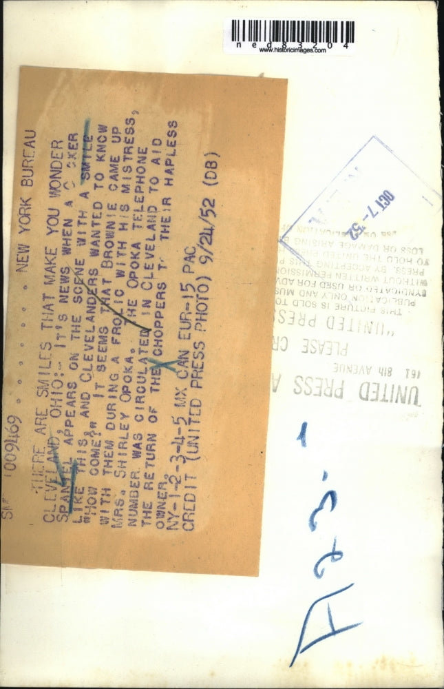 1952 Press Photo Cocker Spaniel Dog "Brownie" Wearing False Teeth