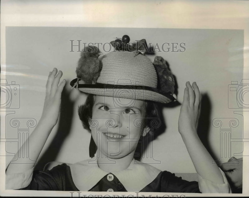Load image into Gallery viewer, 1958 Press Photo Debby Wyatt models hat with baby chicks on it
