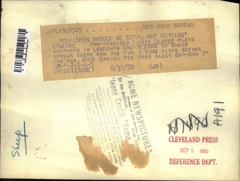 1950 Press Photo London David Clarke age 2 & sheep in Green Park