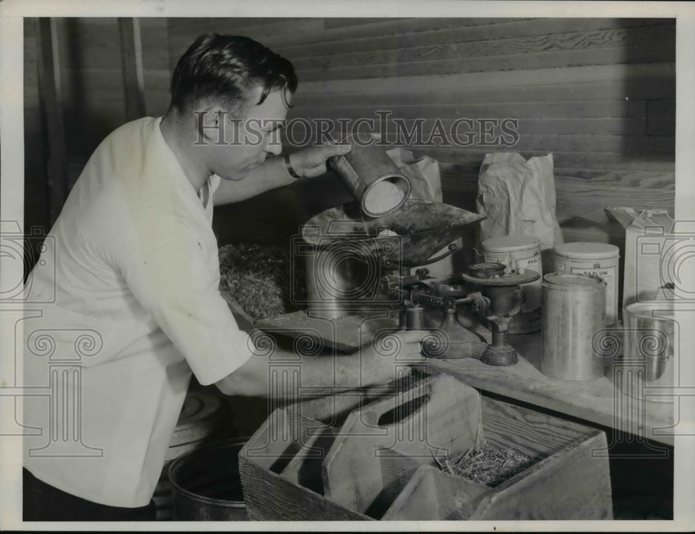 1937 Press Photo A man weighing a chinchillas food rations at his farm