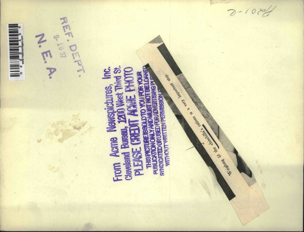 1937 Press Photo Weighing of the Chinchilla's rations is a very important step.