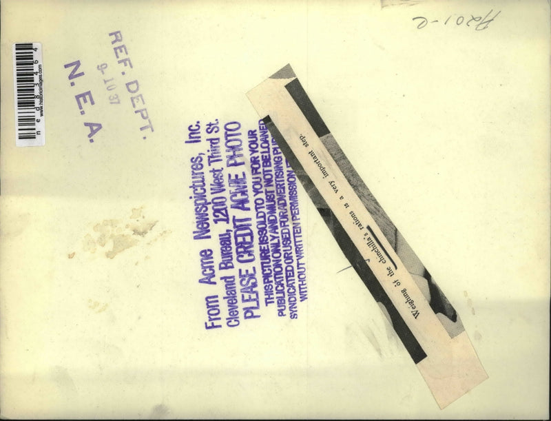 Load image into Gallery viewer, 1937 Press Photo Weighing of the Chinchilla's rations is a very important step.
